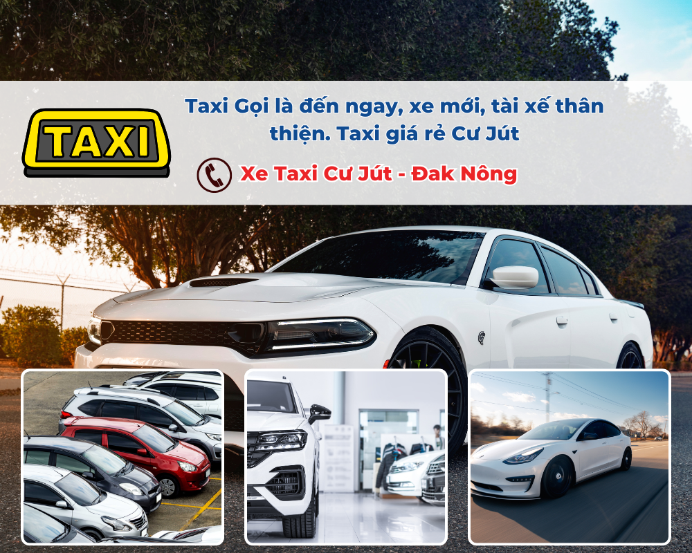 Các yếu tố ảnh hưởng đến giá cước