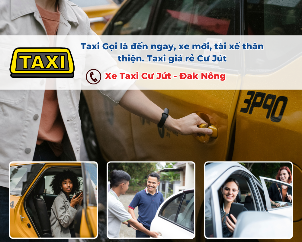 Làm thế nào để đặt xe Taxi Cư Jút tại đường Nguyễn Đình Chiểu?
