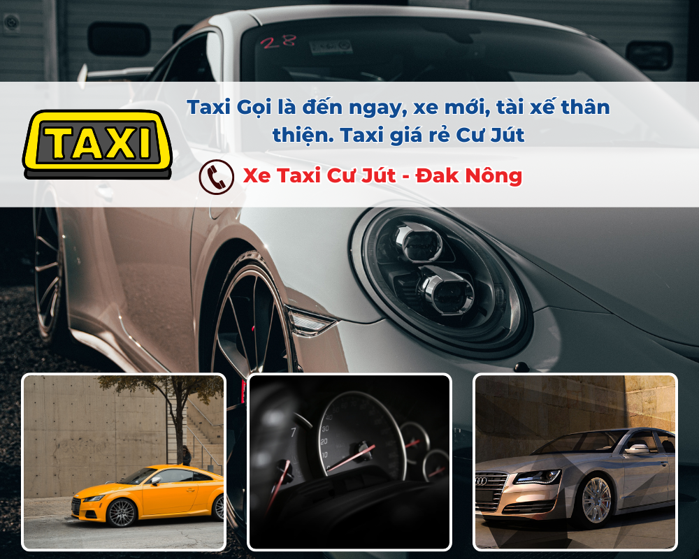 Tại sao nên thuê xe Taxi Cư Jút đi Vườn Quốc gia Tà Đùng?